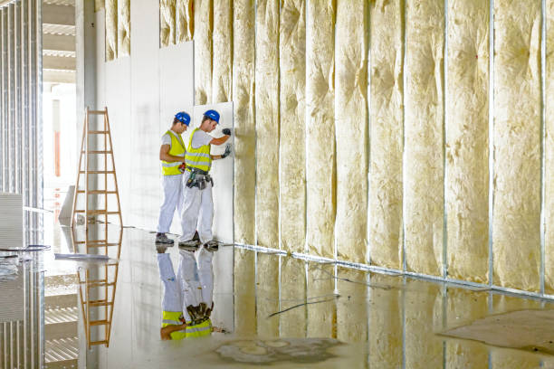 Best Insulation Maintenance and Repair in Sonoma, CA